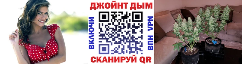 Виды наркотиков купить Выборг МЕГА как зайти  A PVP  Меф мяу мяу  Cocaine  Конопля 