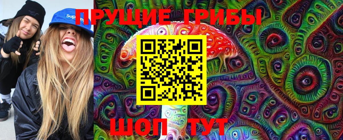 Псилоцибиновые грибы GOLDEN TEACHER Выборг