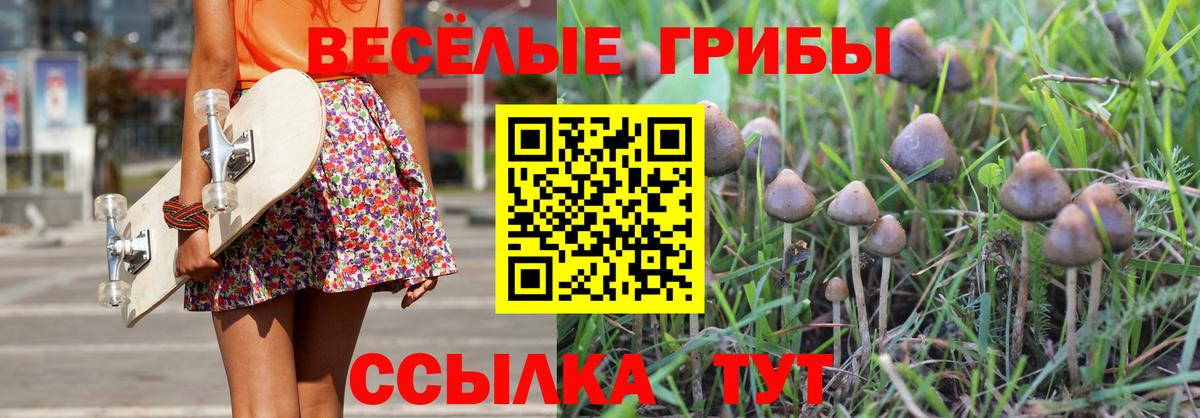 Галлюциногенные грибы Psilocybine cubensis  Псилоцибиновые грибы Magic Shrooms  Вход с VPN  Выборг 
