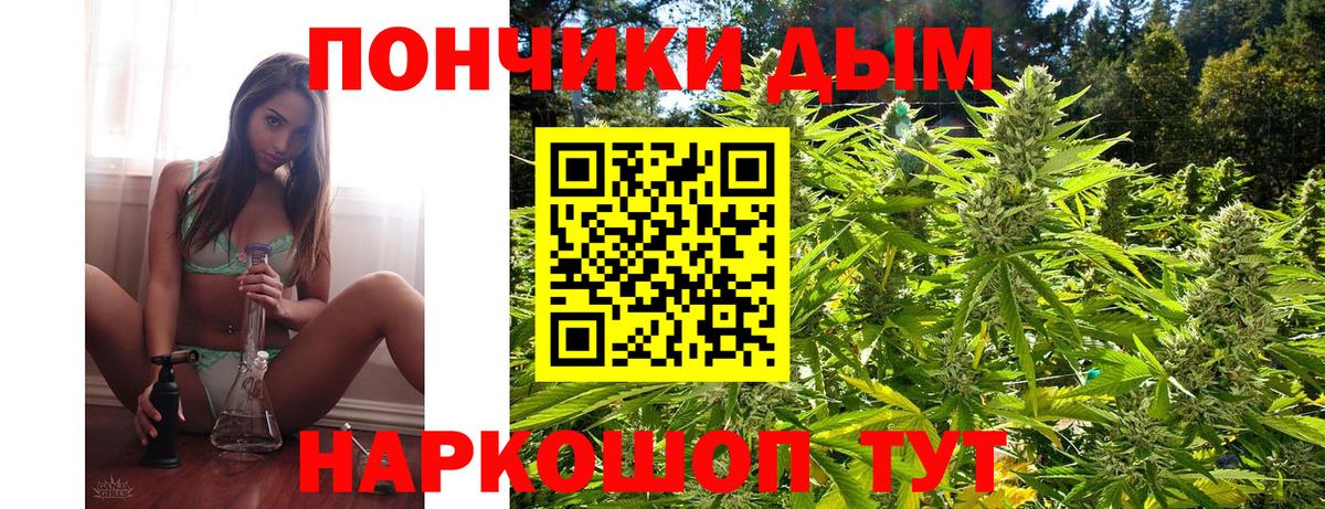 Бошки марихуана планчик  МАРИХУАНА сатива  Вход с VPN  Выборг  Шишки марихуана SATIVA & INDICA 